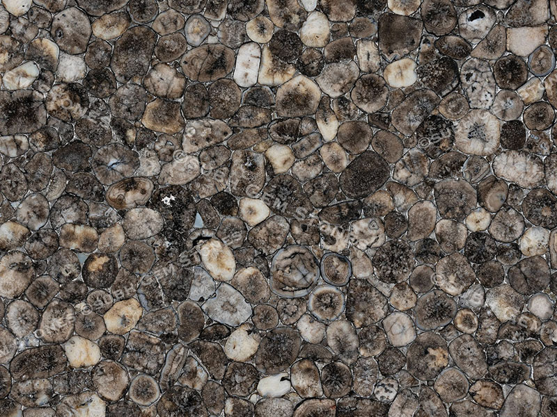 Coal Agate